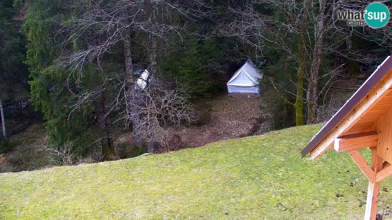 Webcam Lukanja – Water Village | Pohorje Houses