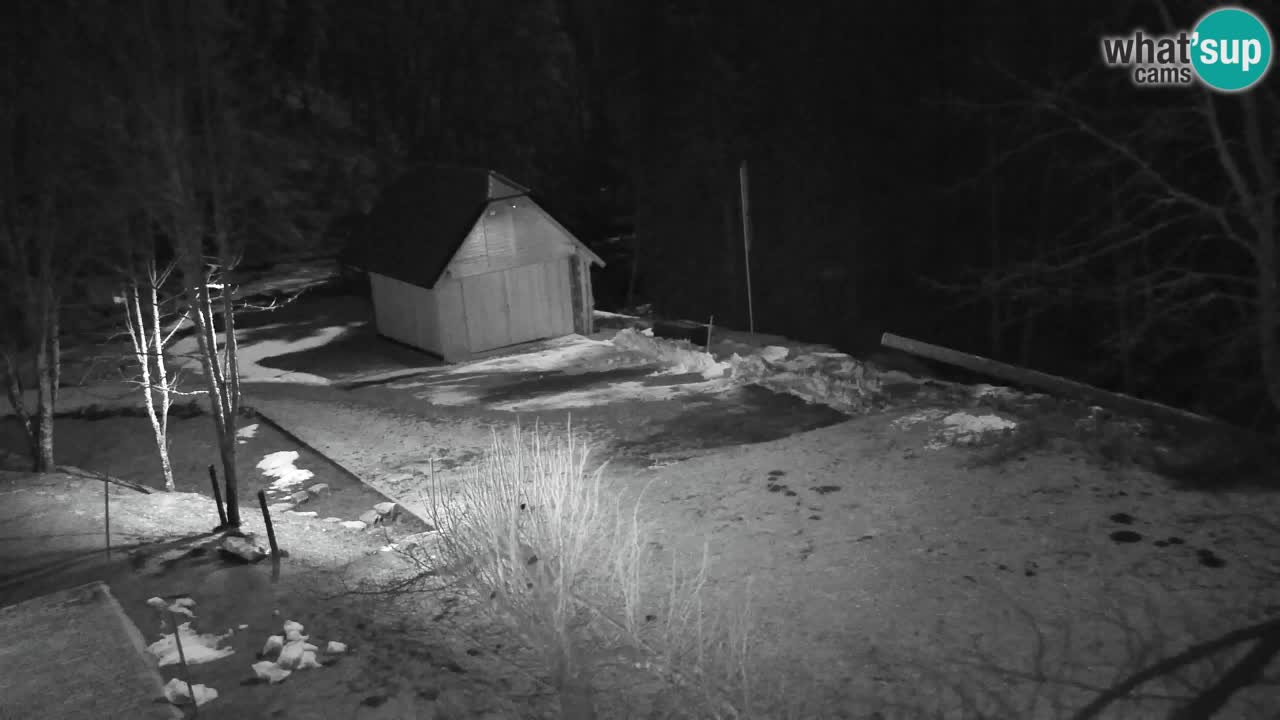 Webcam Lukanja – Water Village | Pohorje Houses