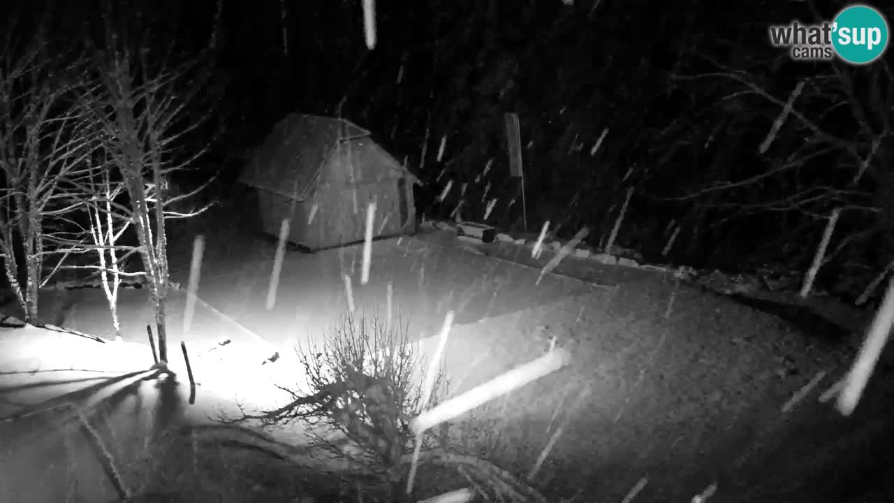 Web kamera Lukanja – Water Village | Pohorje Houses