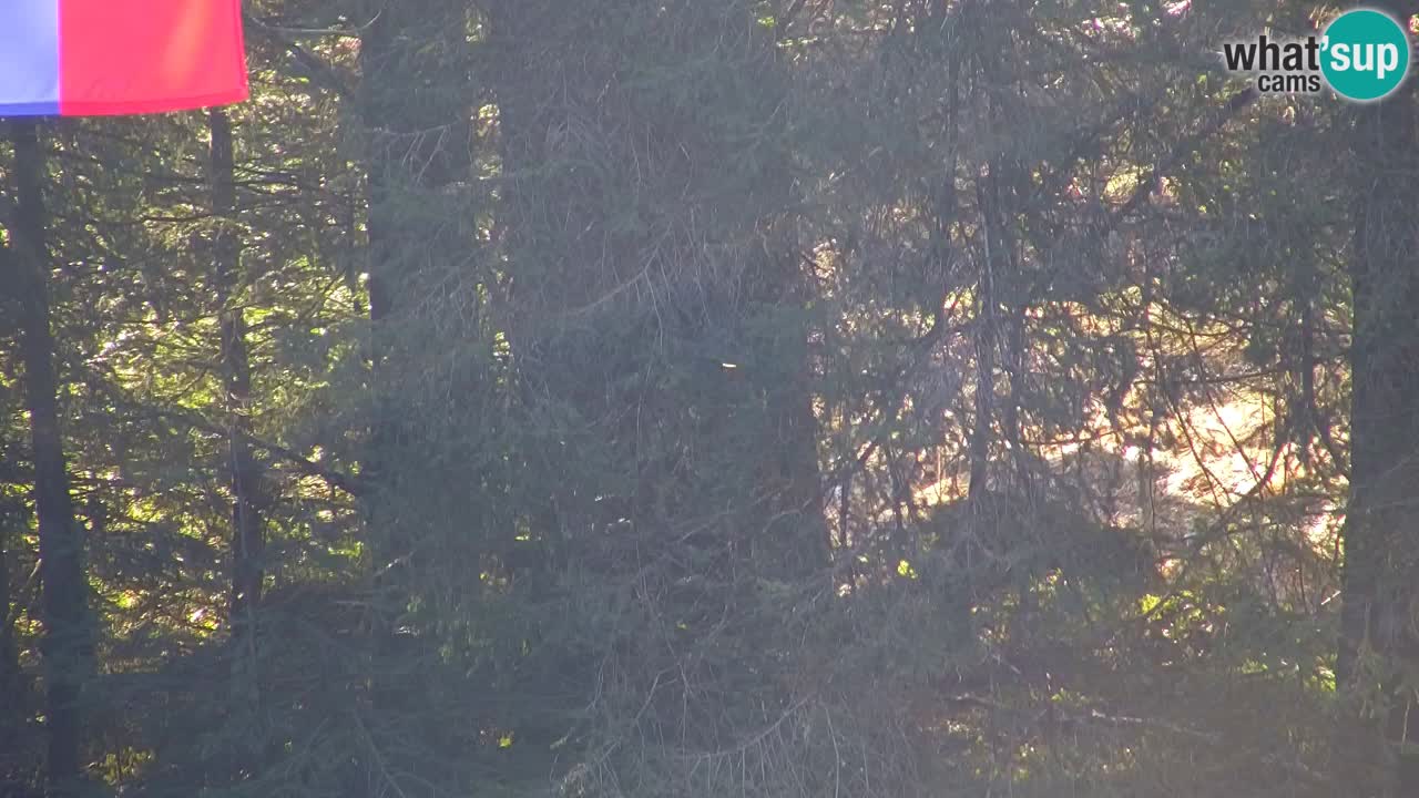 Web kamera Lukanja – Water Village | Pohorje Houses
