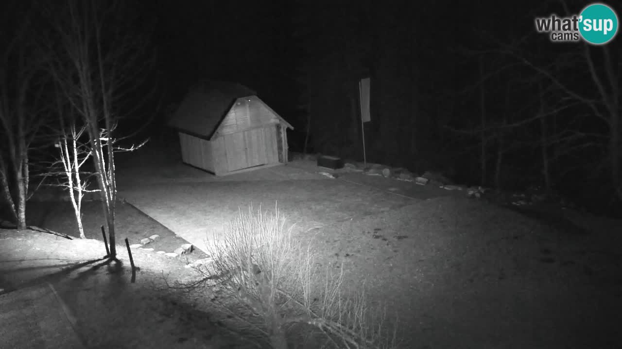 Webcam Lukanja – Water Village | Pohorje Houses