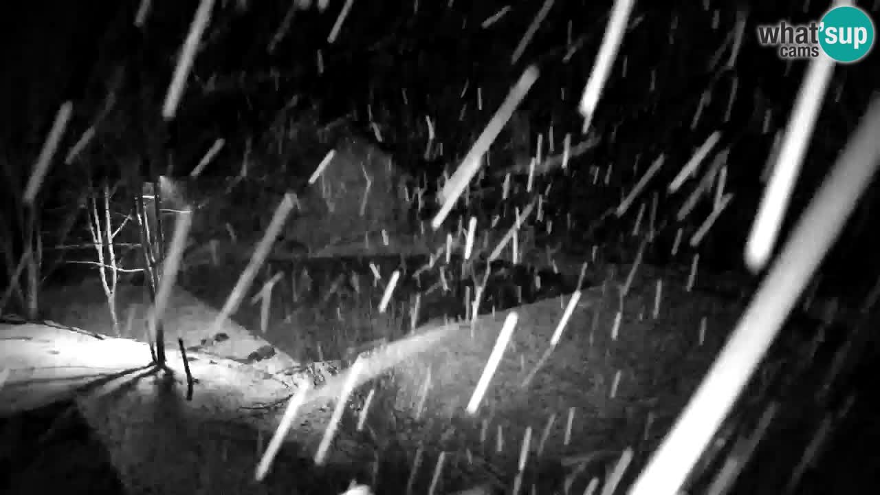 Webcam Lukanja – Water Village | Pohorje Houses