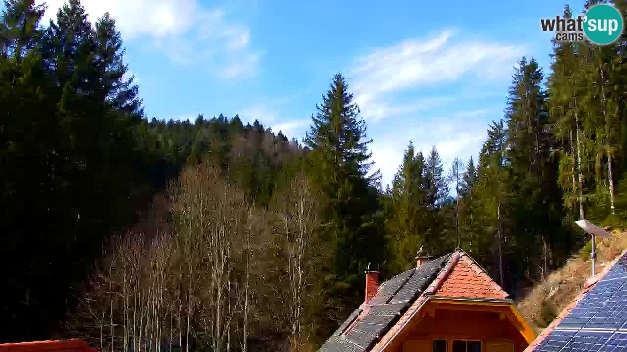 Webcam Lukanja – Water Village | Pohorje Houses