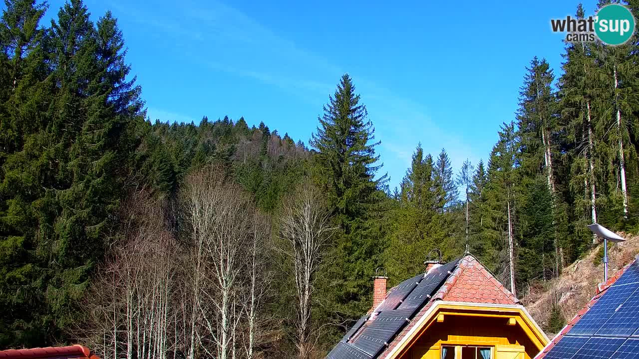 Webcam Lukanja – Pohorje houses a Water village