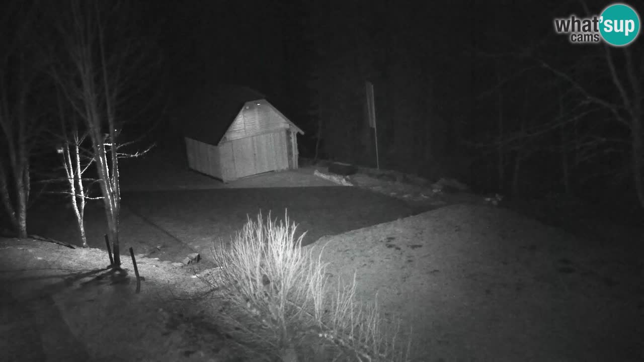 Webcam Lukanja – Water Village | Pohorje Houses