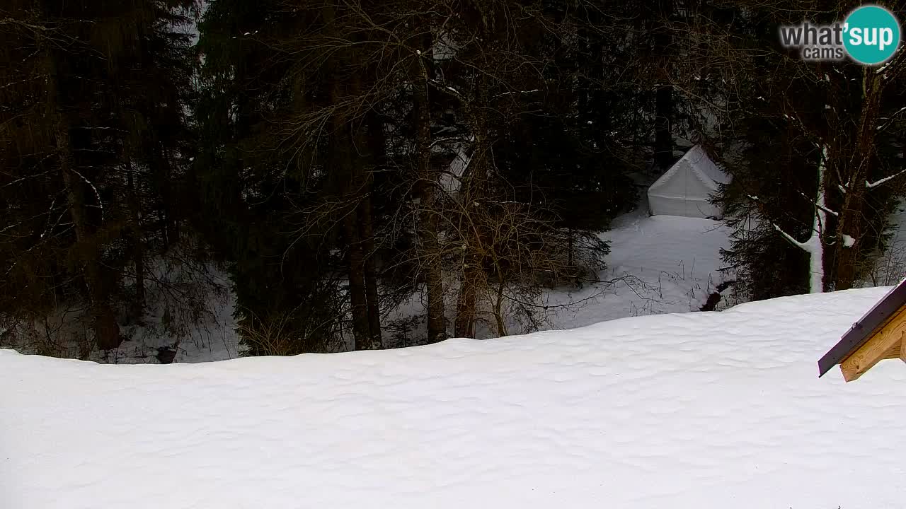 Webcam Lukanja – Water Village | Pohorje Houses