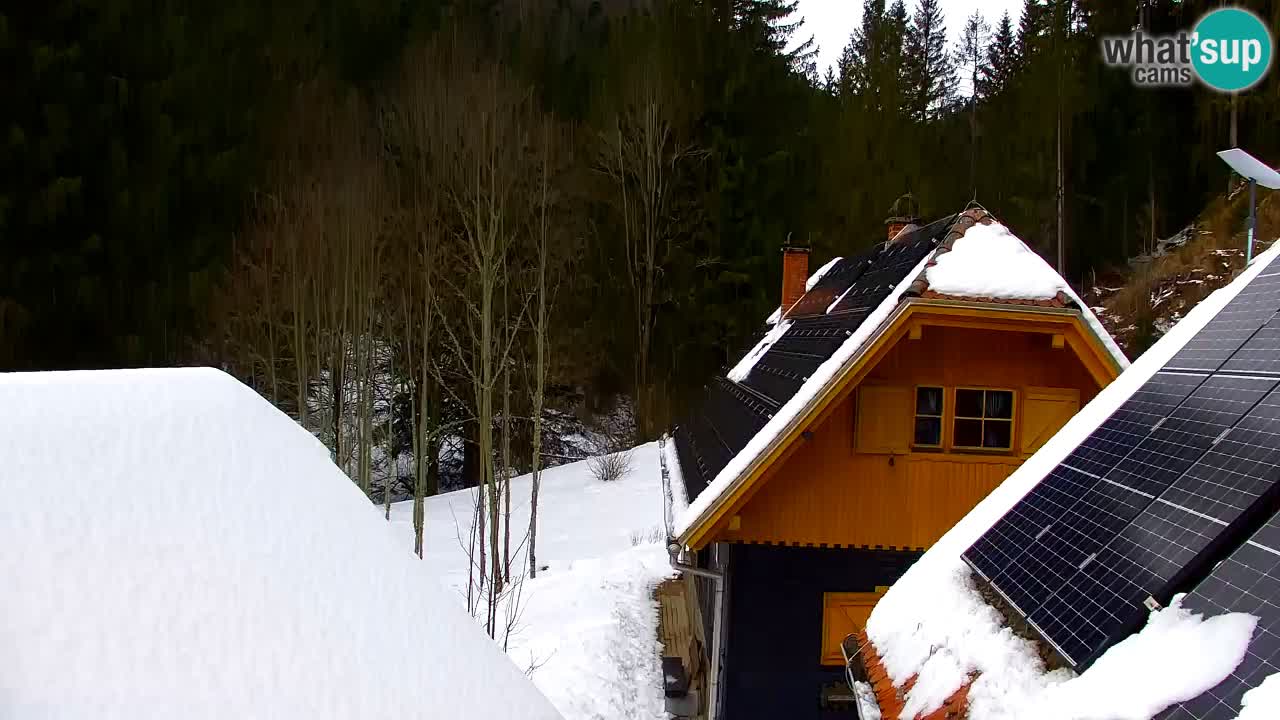 Webcam Lukanja – Water Village | Pohorje Houses