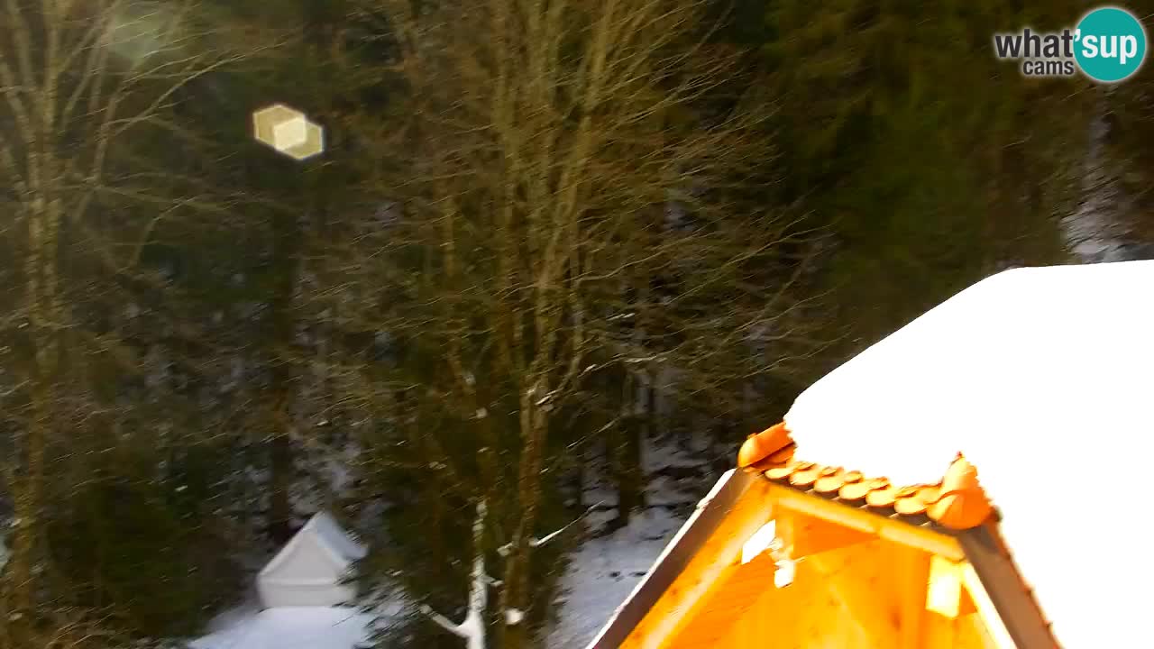 Web kamera Lukanja – Water Village | Pohorje Houses