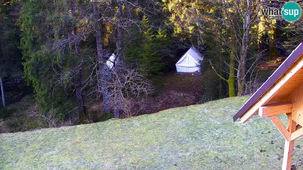 Webcam Lukanja – Water Village | Pohorje Houses