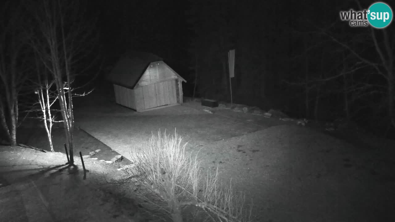 Webcam Lukanja – Pohorje houses a Water village