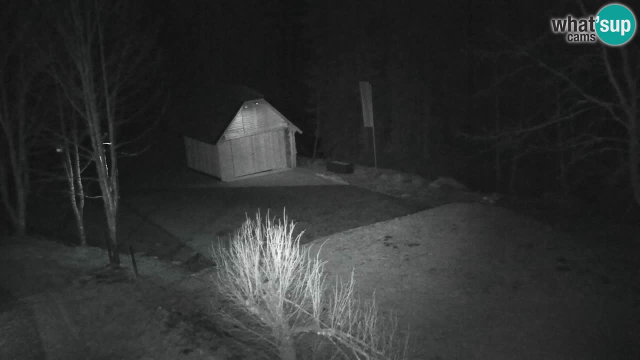 Webcam Lukanja – Pohorje houses a Water village