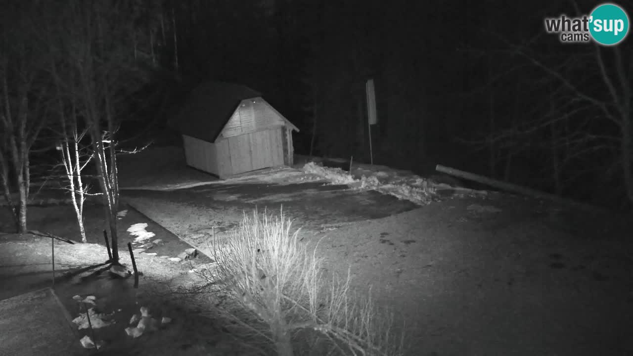 Webcam Lukanja – Pohorje houses a Water village