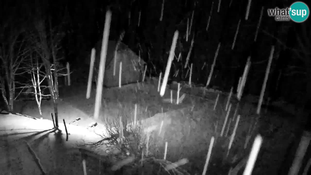 Webcam Lukanja – Water Village | Pohorje Houses