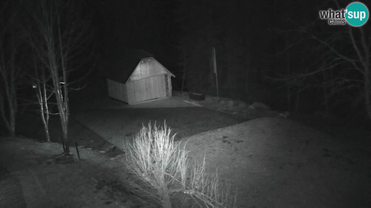 Webcam Lukanja – Pohorje houses a Water village