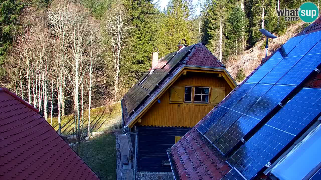 Webcam Lukanja – Water Village | Pohorje Houses
