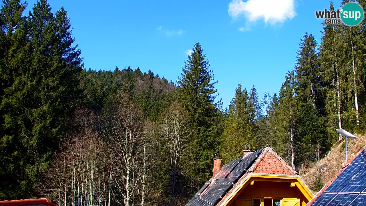Spletna kamera Lukanja – Water Village | Pohorje Houses