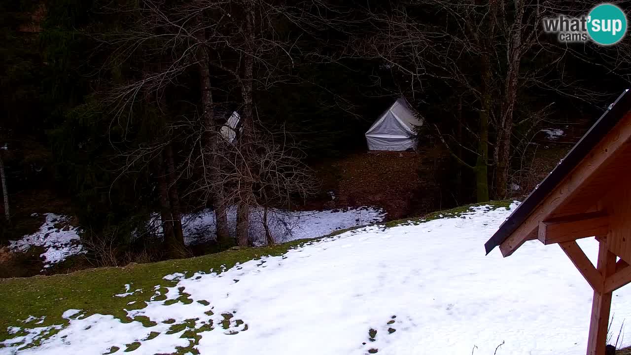 Webcam Lukanja – Water Village | Pohorje Houses