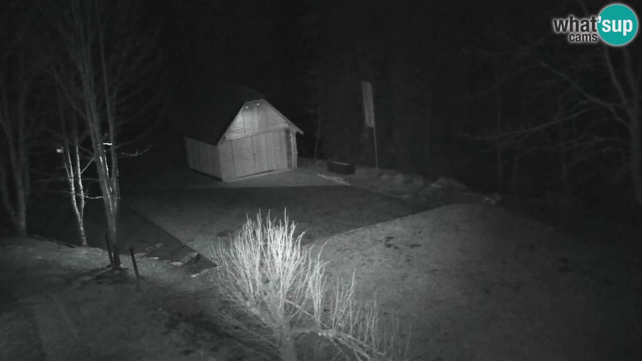 Webcam Lukanja – Pohorje houses a Water village