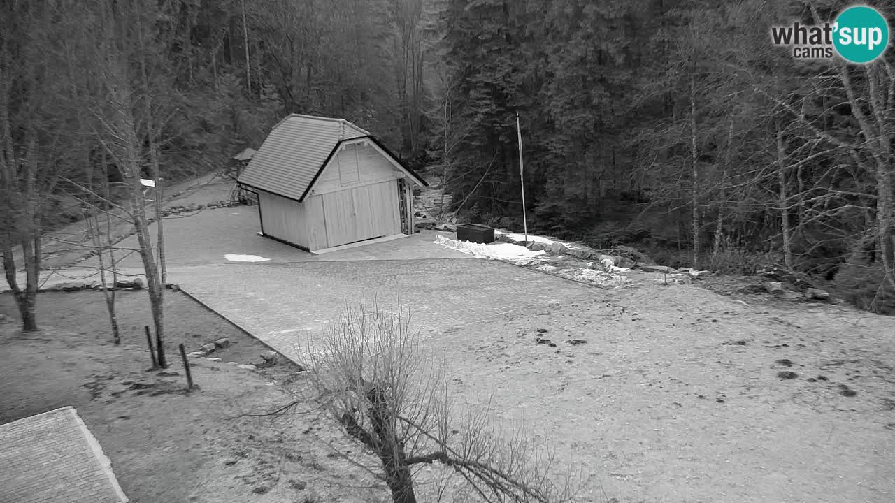 Webcam Lukanja – Water Village | Pohorje Houses