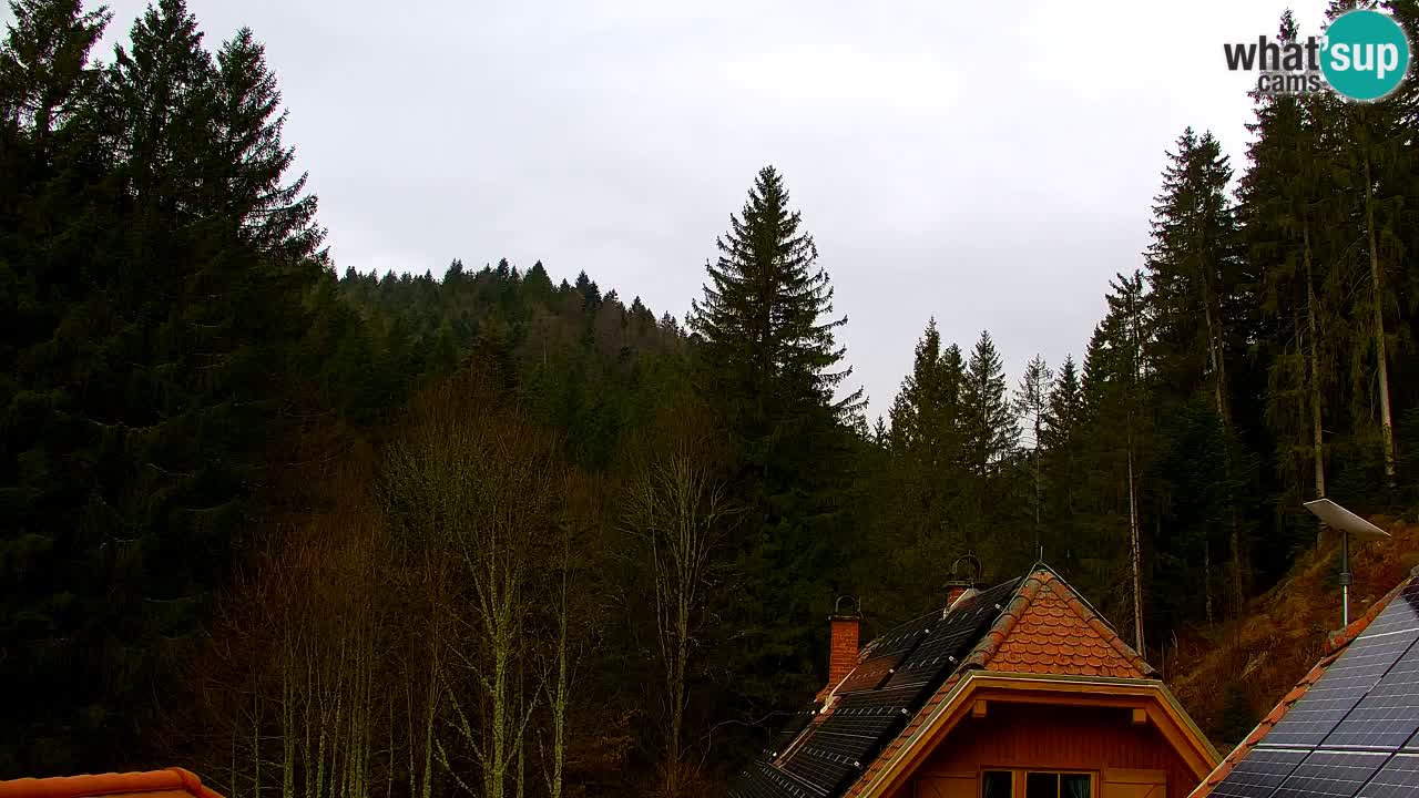 Webcam Lukanja – Pohorje houses a Water village