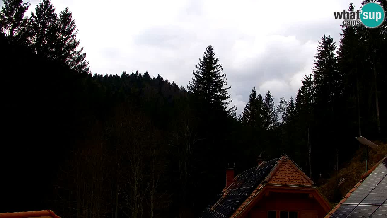 Spletna kamera Lukanja – Water Village | Pohorje Houses