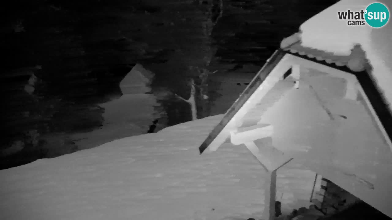 Webcam Lukanja – Water Village | Pohorje Houses