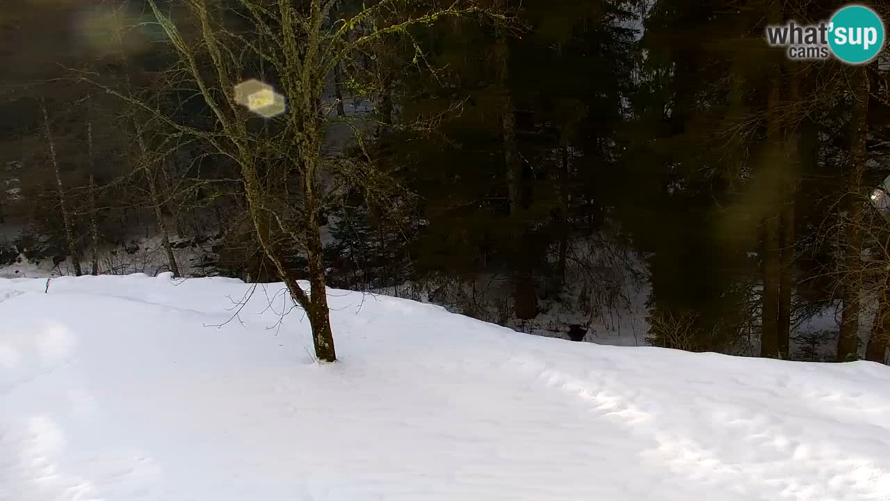 Webcam Lukanja – Water Village | Pohorje Houses