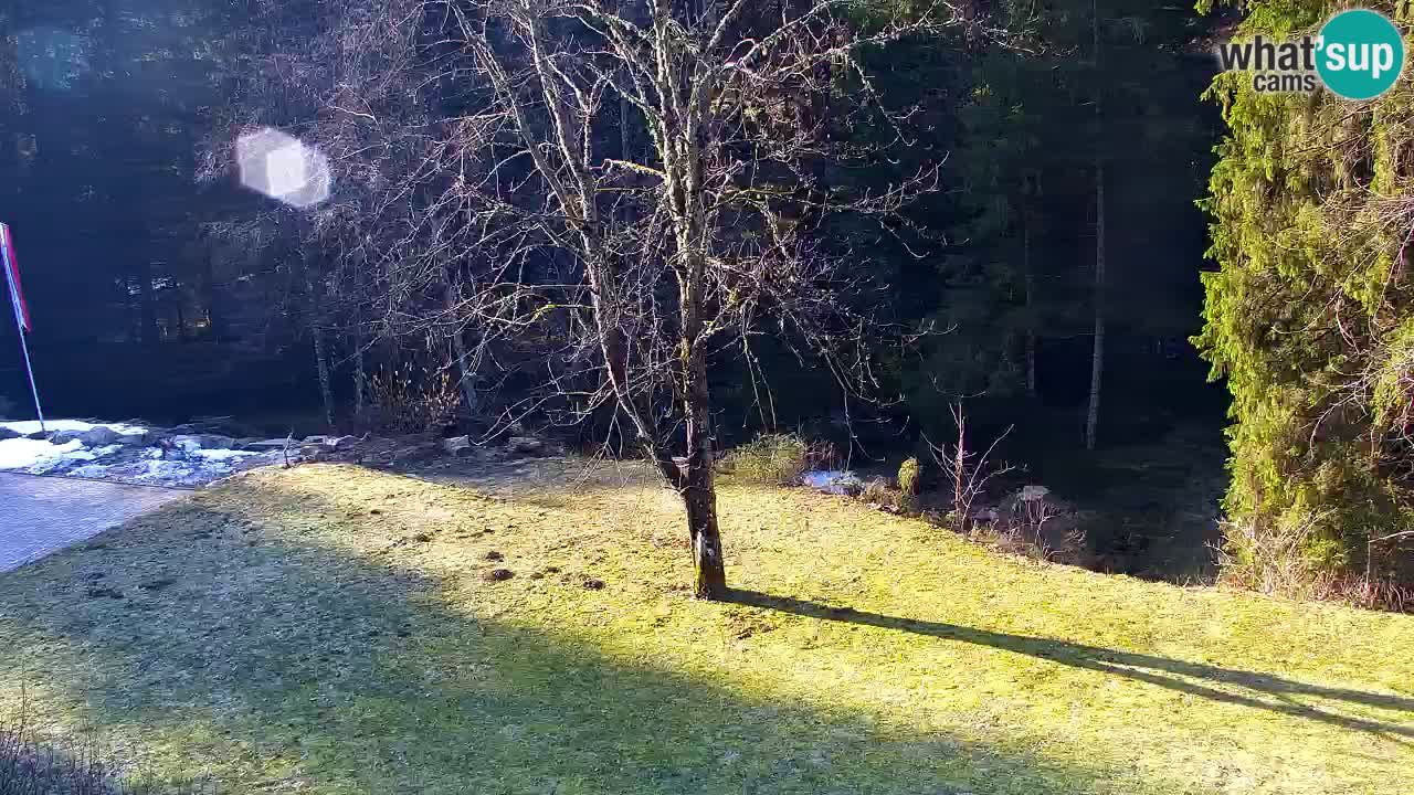 Webcam Lukanja – Water Village | Pohorje Houses