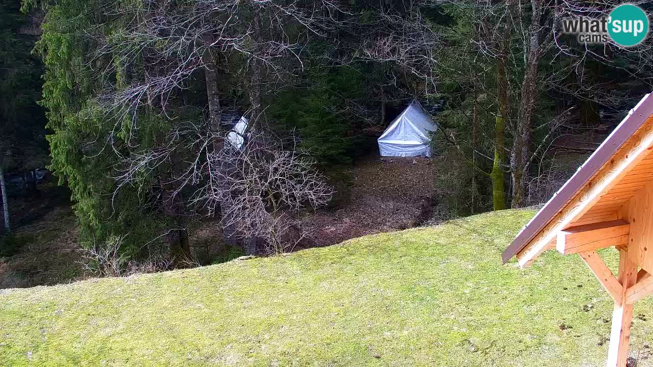 Webcam Lukanja – Water Village | Pohorje Houses