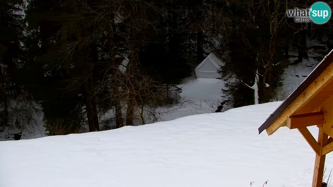 Webcam Lukanja – Water Village | Pohorje Houses