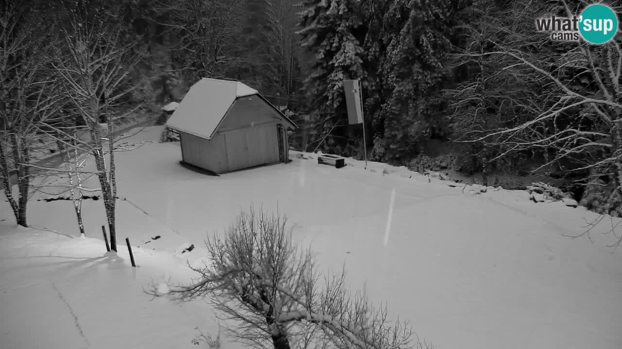 Web kamera Lukanja – Water Village | Pohorje Houses