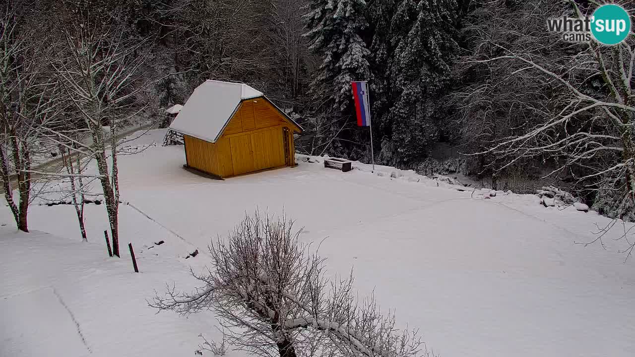 Webcam Lukanja – Water Village | Pohorje Houses