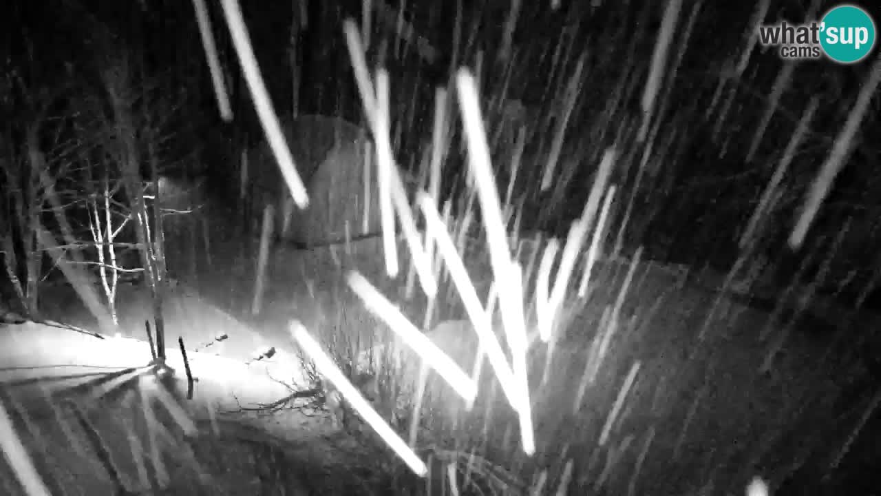 Webcam Lukanja – Water Village | Pohorje Houses