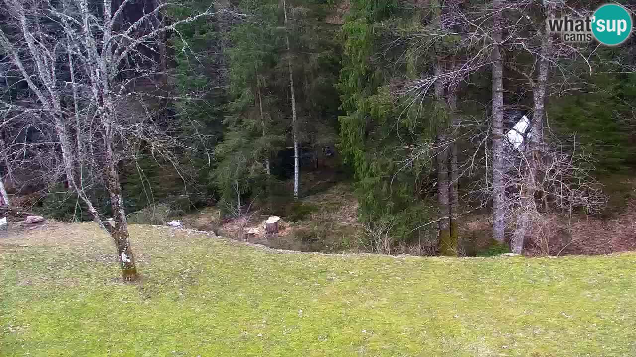 Webcam Lukanja – Pohorje houses a Water village