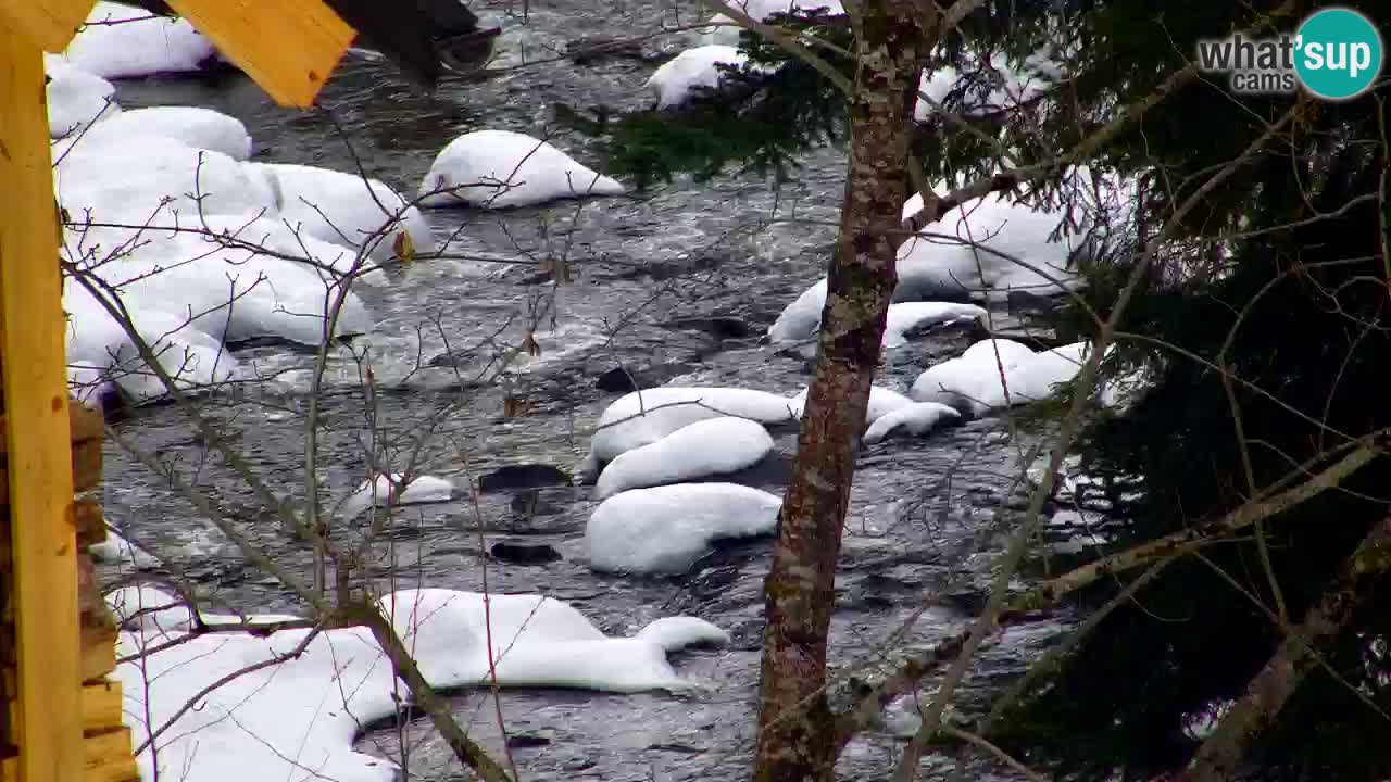 Webcam Lukanja – Pohorje houses a Water village