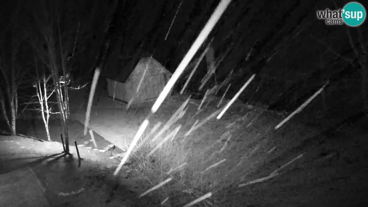 Webcam Lukanja – Water Village | Pohorje Houses