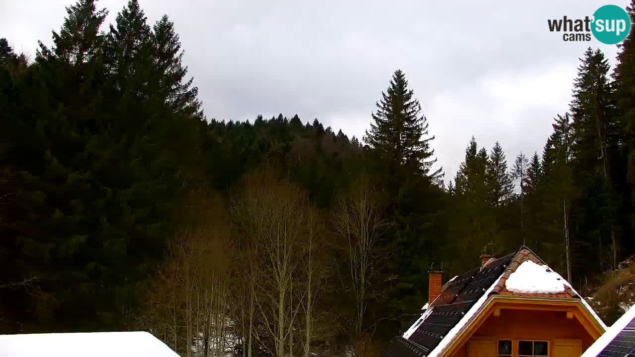 Webcam Lukanja – Water Village | Pohorje Houses