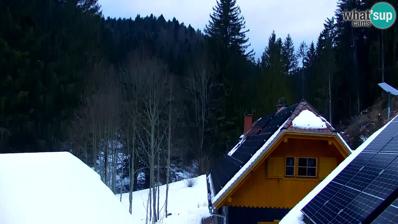 Webcam Lukanja – Pohorje houses a Water village
