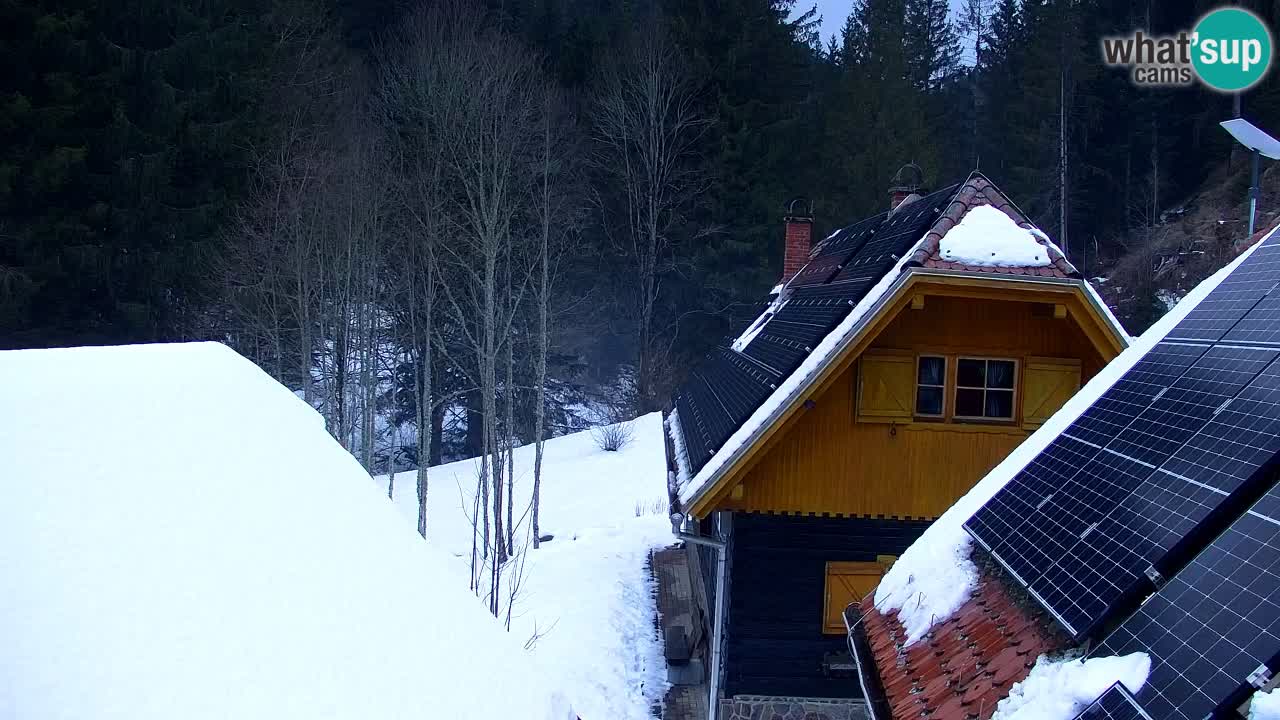 Webcam Lukanja – Water Village | Pohorje Houses