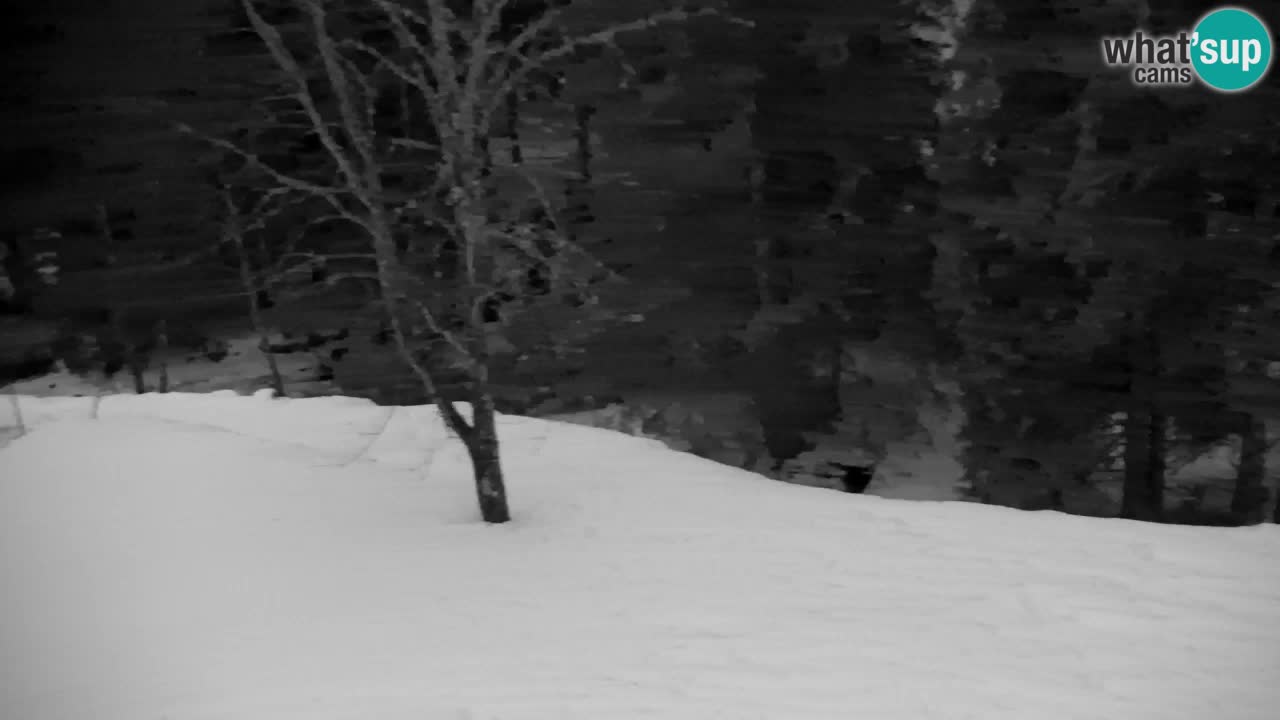 Webcam Lukanja – Pohorje houses a Water village