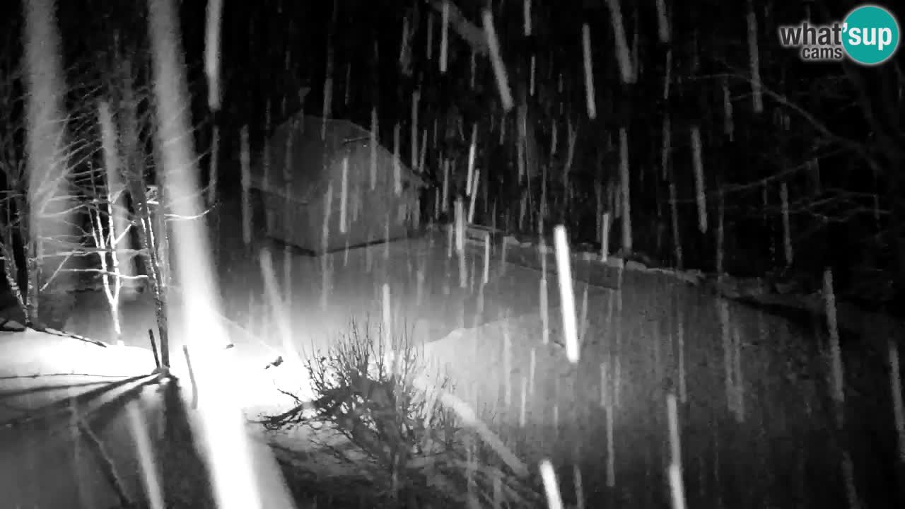 Webcam Lukanja – Water Village | Pohorje Houses