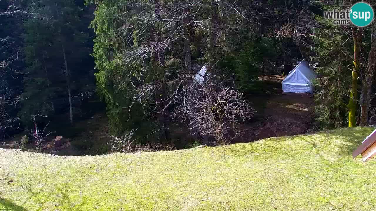 Webcam Lukanja – Water Village | Pohorje Houses