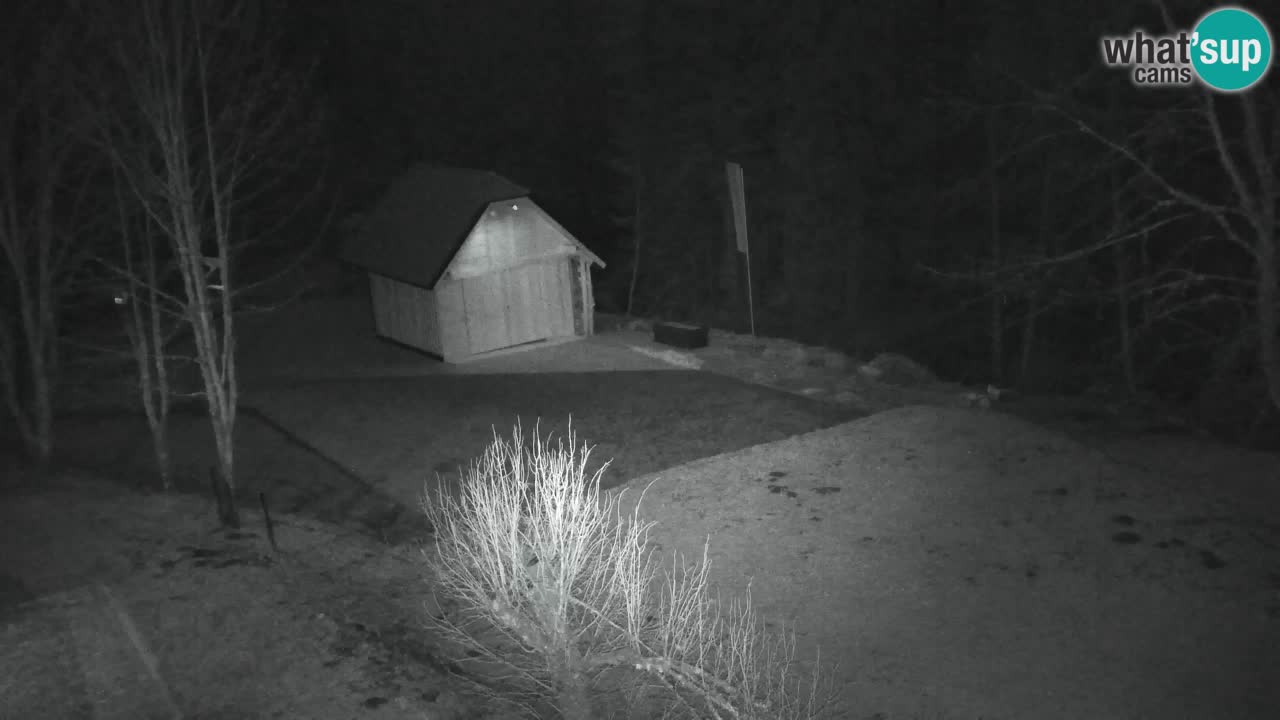 Webcam Lukanja – Water Village | Pohorje Houses