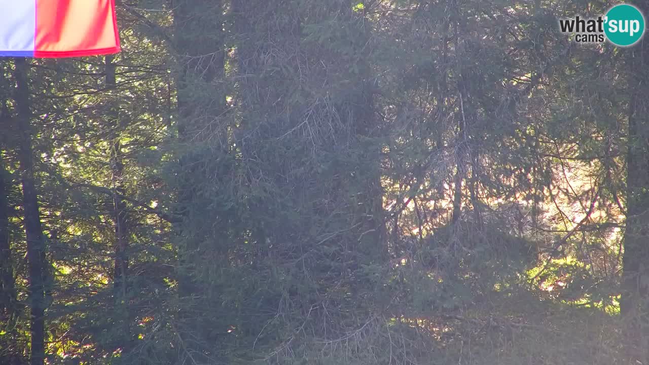 Webcam Lukanja – Pohorje houses a Water village