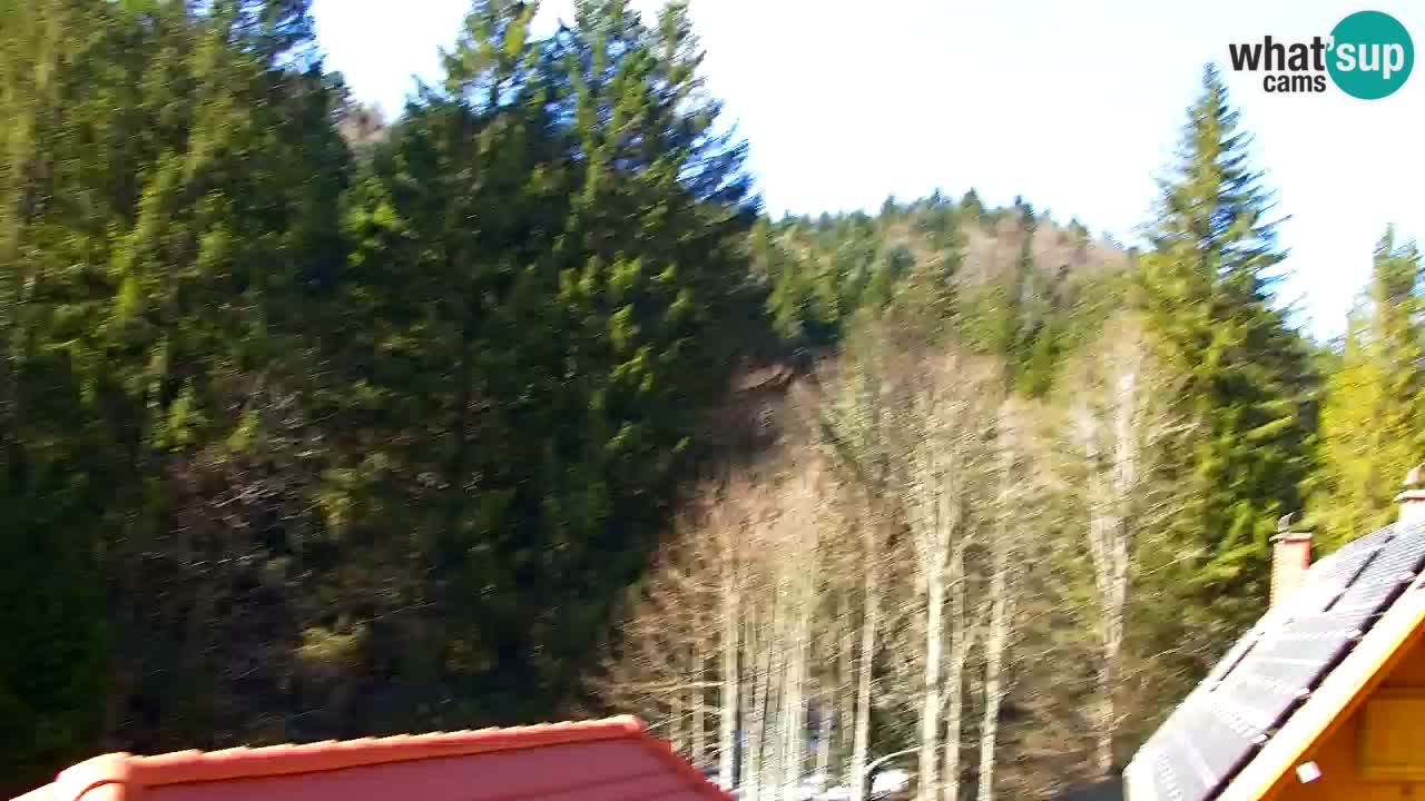 Spletna kamera Lukanja – Water Village | Pohorje Houses