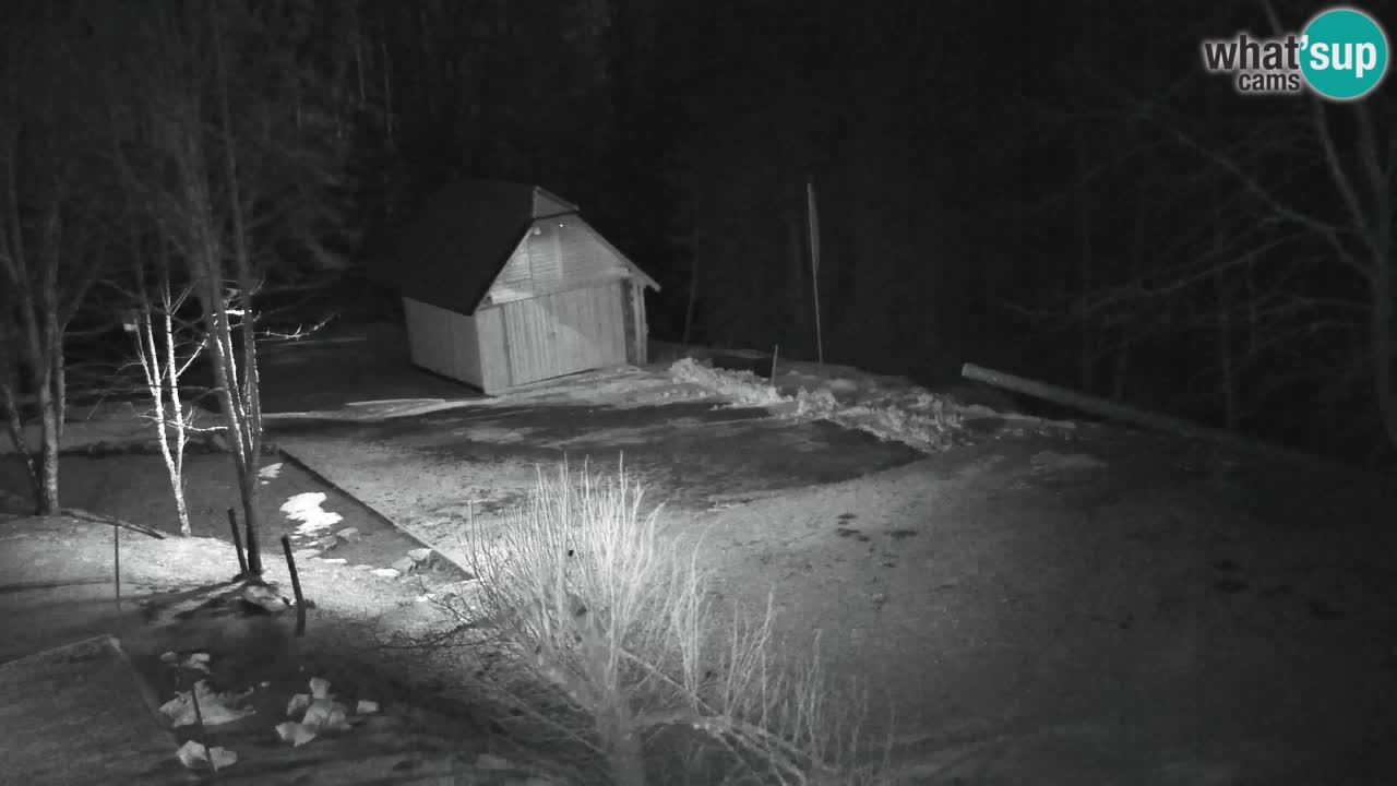 Spletna kamera Lukanja – Water Village | Pohorje Houses