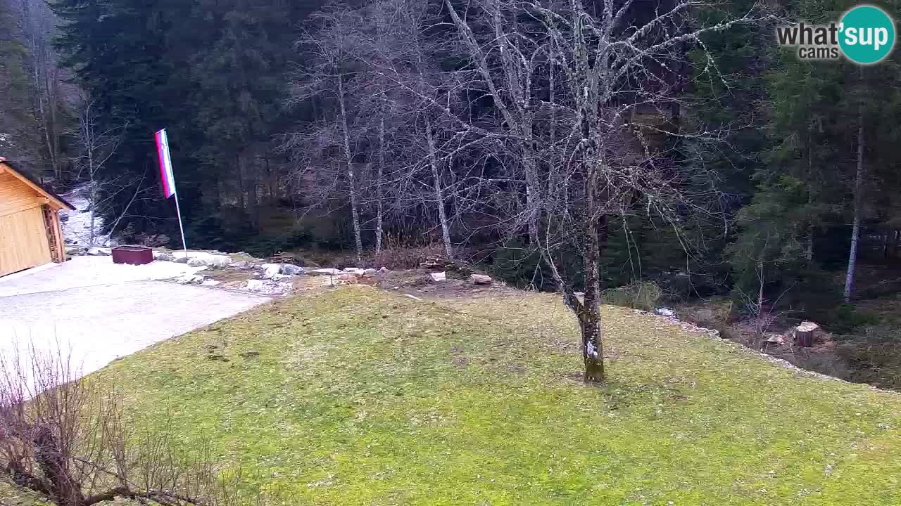 Webcam Lukanja – Water Village | Pohorje Houses