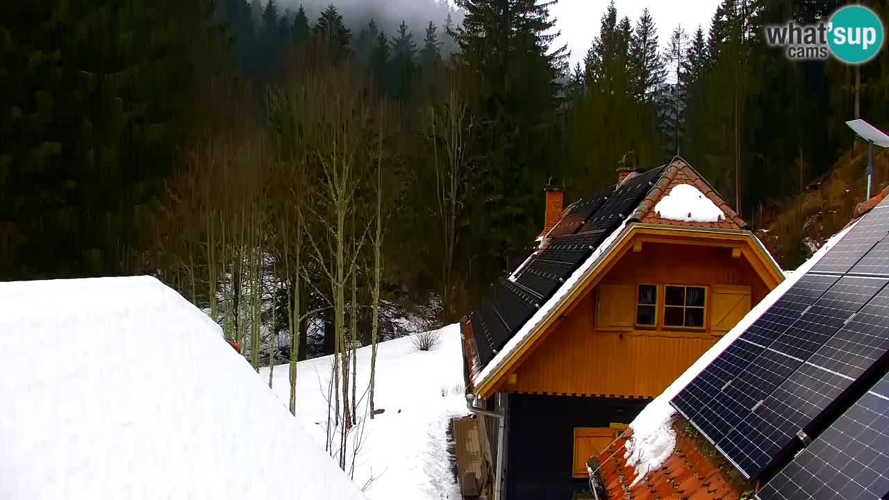 Webcam Lukanja – Water Village | Pohorje Houses