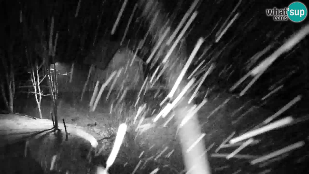 Webcam Lukanja – Water Village | Pohorje Houses