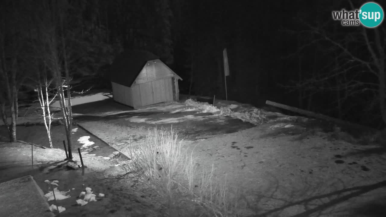 Web kamera Lukanja – Water Village | Pohorje Houses